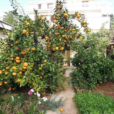 Simicev
