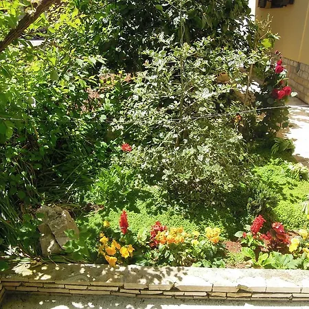 Apartamento Simicev *